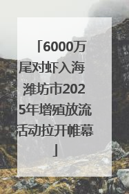 6000万尾对虾入海 潍坊市2025年增殖放流活动拉开帷幕