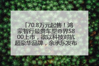 70.8万元起售！鸿蒙智行最贵车型尊界S800上市，欲以科技对抗超豪华品牌，余承东发布会未提及迈巴赫