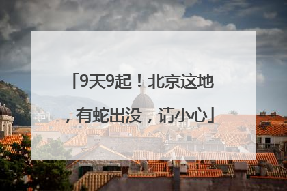 9天9起！北京这地，有蛇出没，请小心