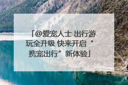 @爱宠人士 出行游玩全升级 快来开启“携宠出行”新体验