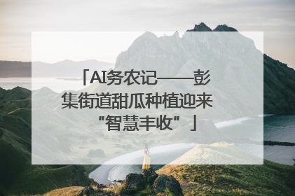 AI务农记——彭集街道甜瓜种植迎来“智慧丰收”