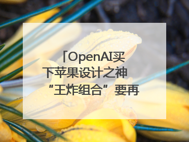 OpenAI买下苹果设计之神 “王炸组合”要再造一个苹果？