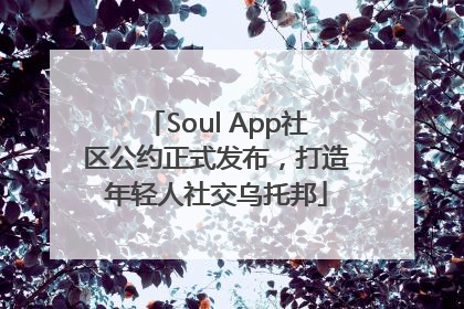 Soul App社区公约正式发布，打造年轻人社交乌托邦